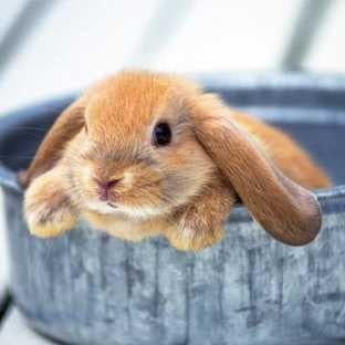 まみ(14)🎀青森💊