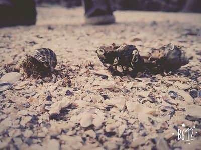 かたおかのトーク