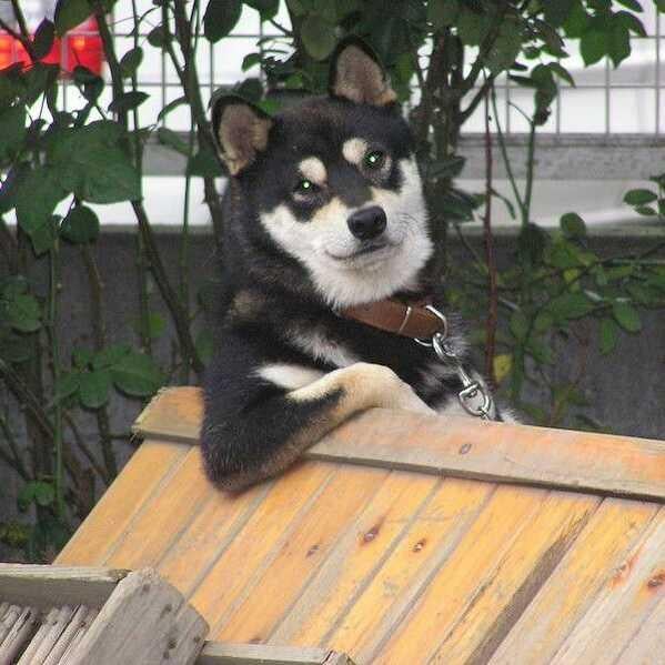 ★RYO★の独り言