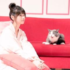春登のトーク