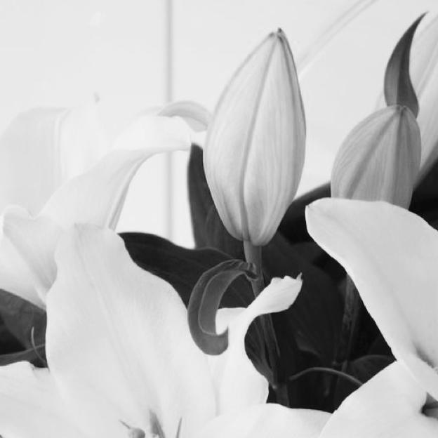 好きな食べ物教えてください💋