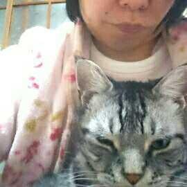 にしさん