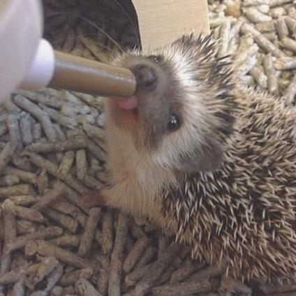 みなみのトーク