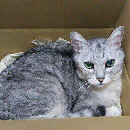 吉田 保のトーク