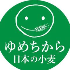 ゆめちから