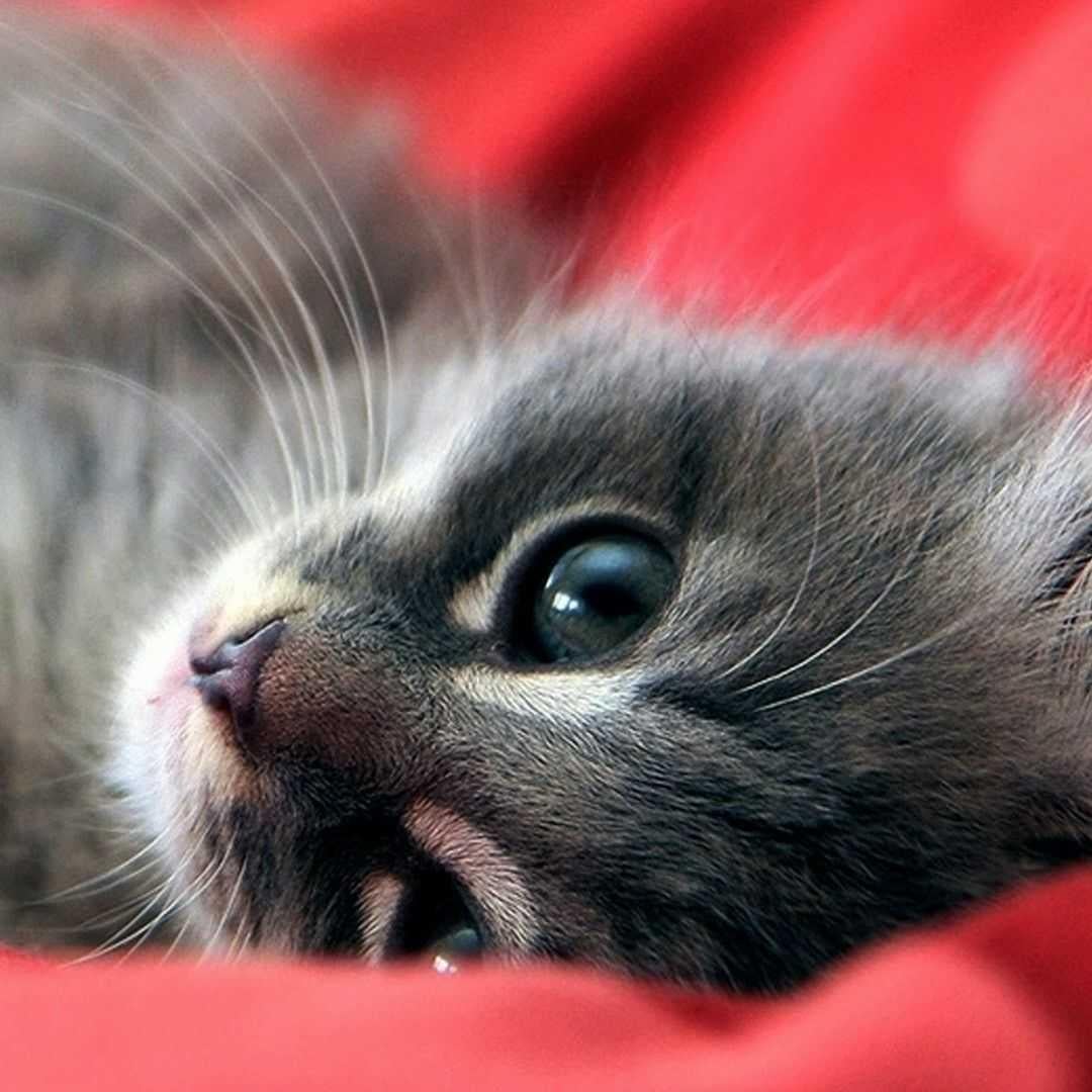 モンスト→個人部屋