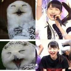 つまらん お部屋