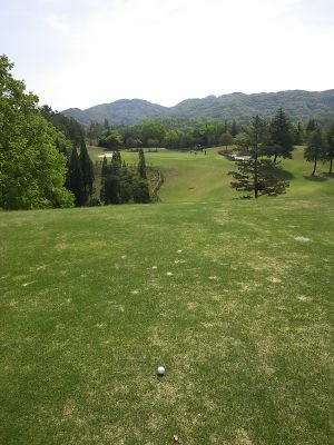 くま太朗ゴー！