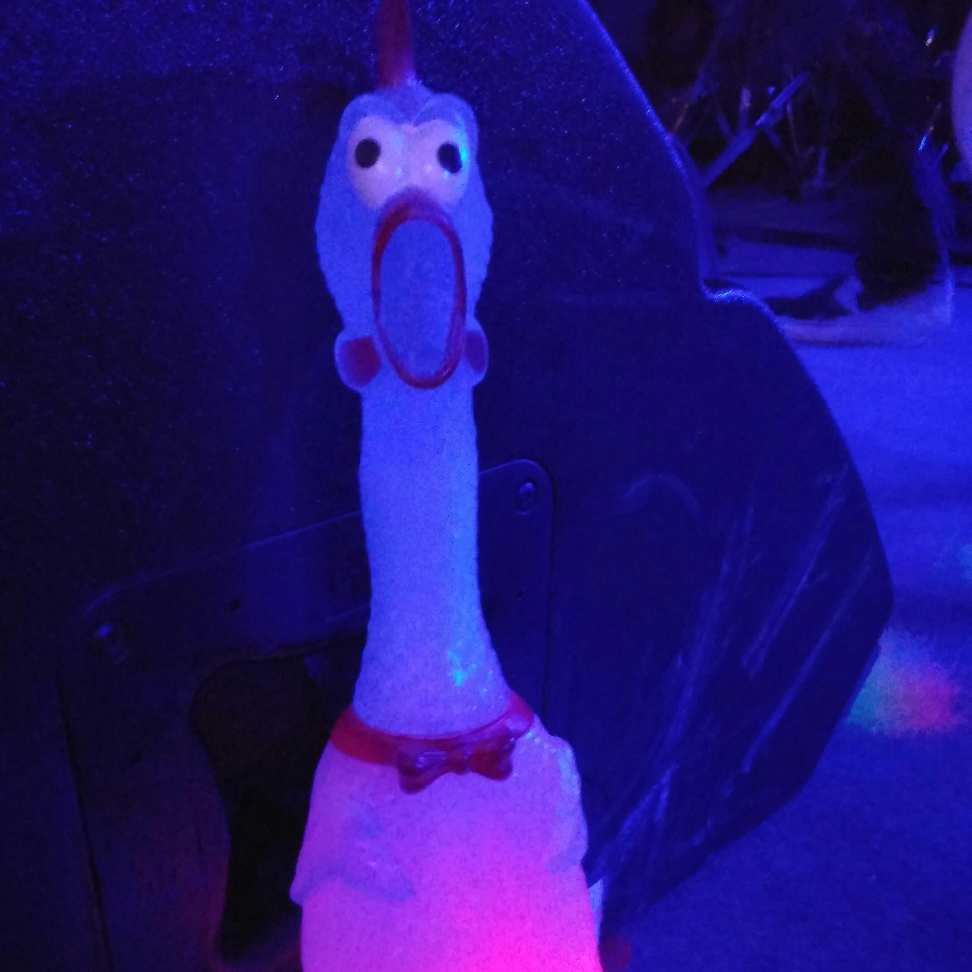 sakiccyoo☆のトーク