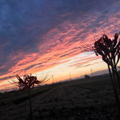 栃木の人〜さやみるきー大好きな人〜