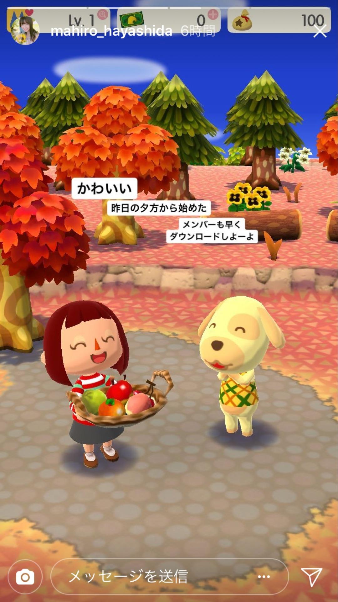 投稿画像