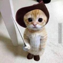しょうのトーク