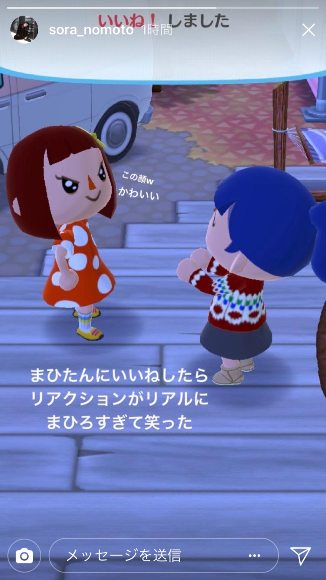 投稿画像