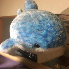 アオコ(本人)