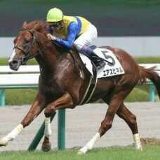 まったり競馬予想