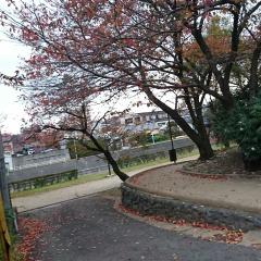 ゆうか