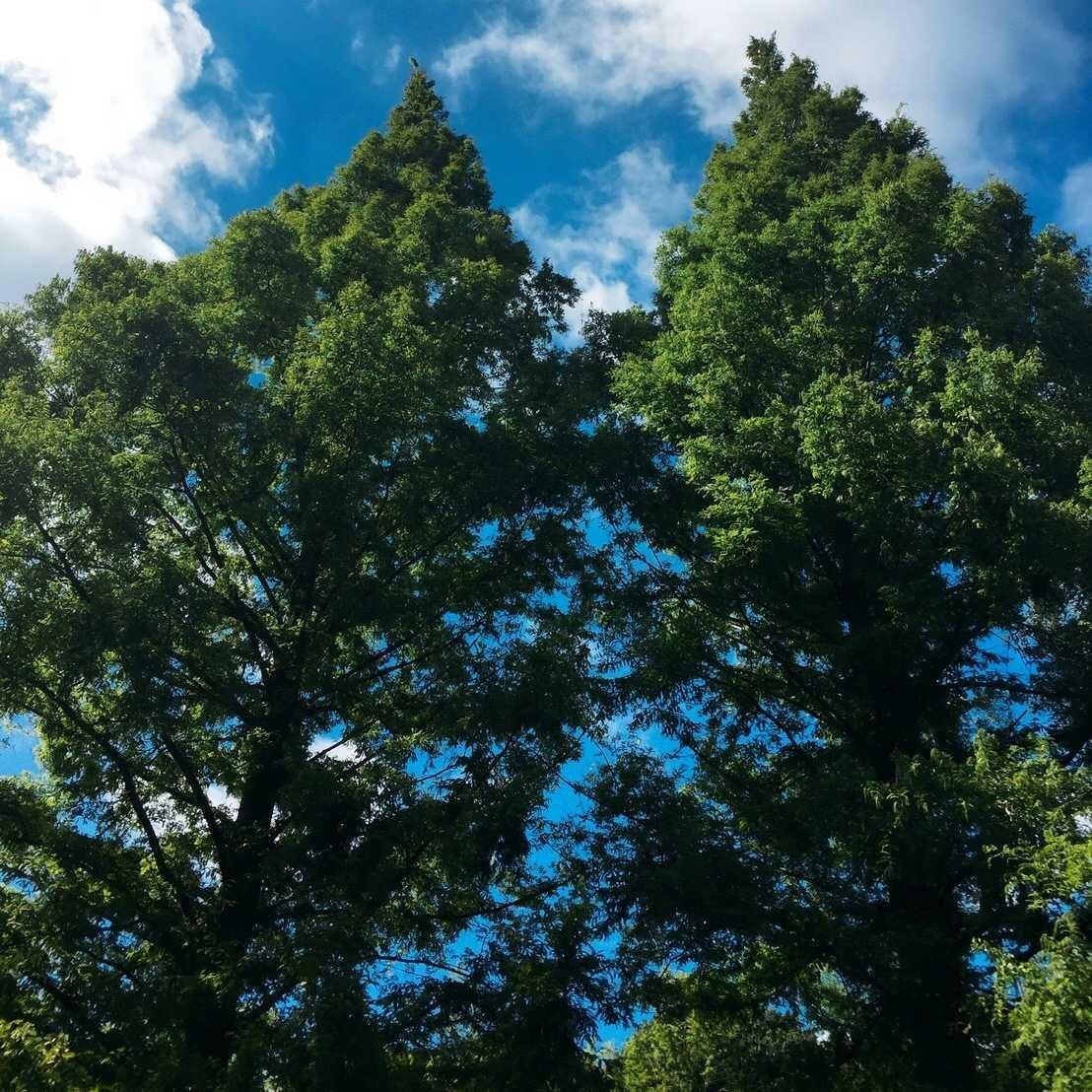 マリウス⊿のトーク