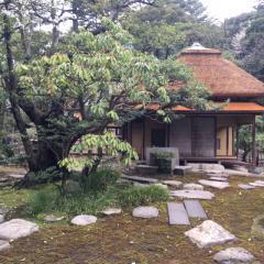 現役男子高校生