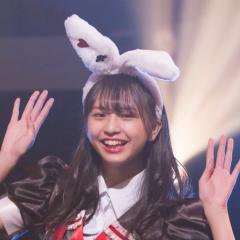 🐰