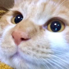 755初めましてのテスト用