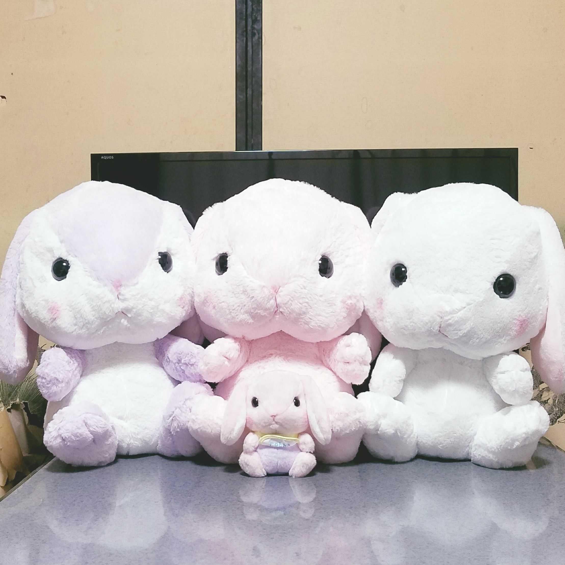 グラッツェ