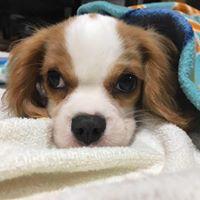 水落花奈のトーク