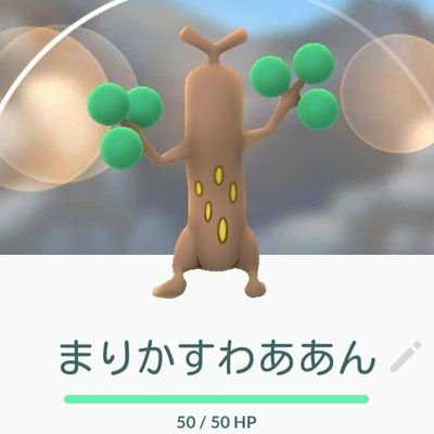 ろはん