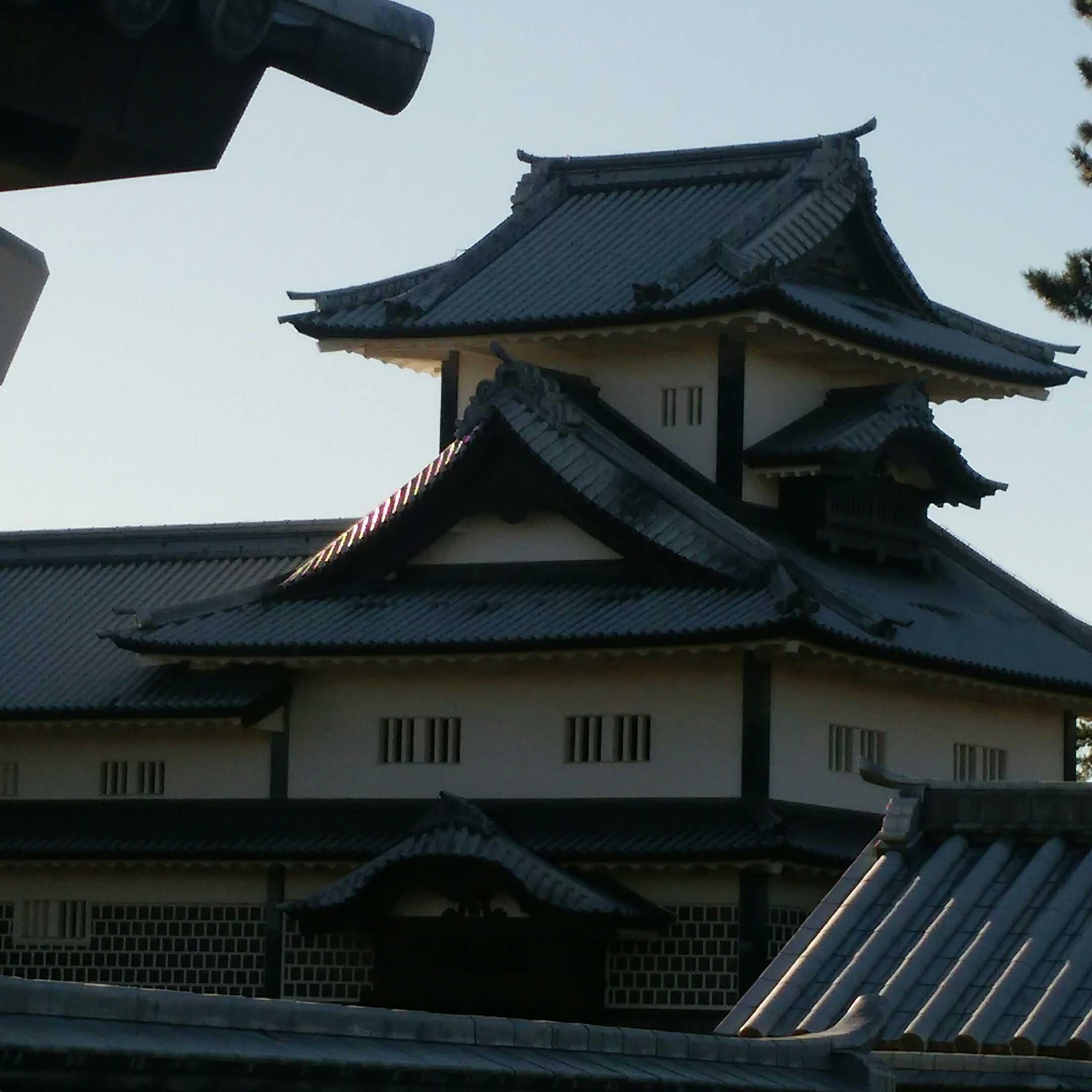 まっさんさん（梨央ちゃん命名）ねねりお神推しさやまる推しのトーク