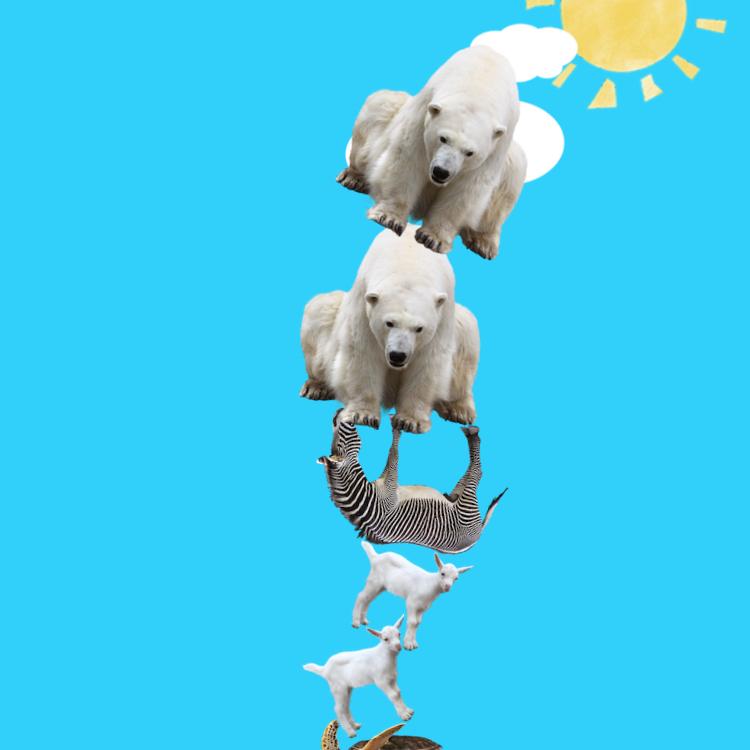 ノギ