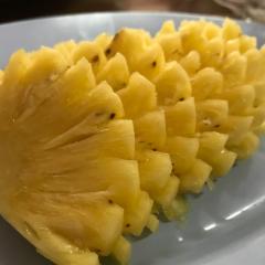 しまねこのやりたいことリスト