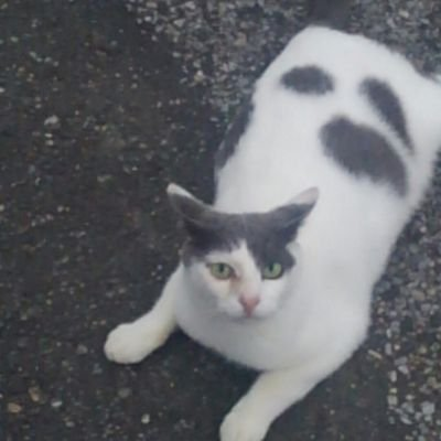 坂本聖(ひじり)のトーク