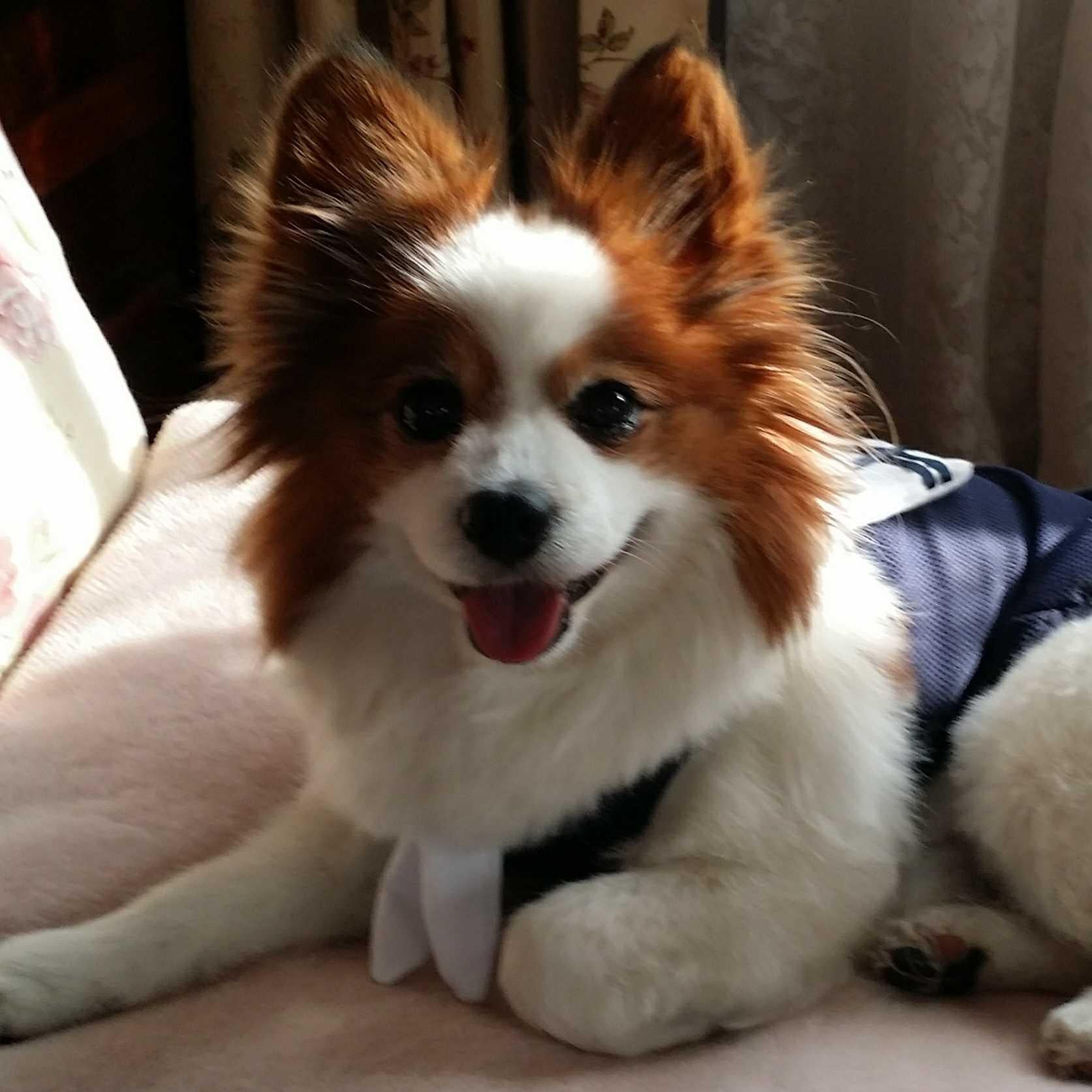 はる♪のトーク