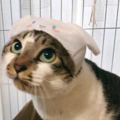 未緒さんとお話し💕