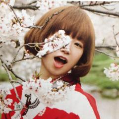 ぱねぼりょっすにか♡