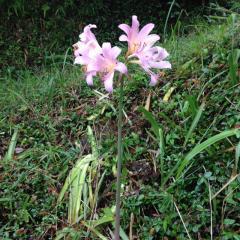 まこと（makky）のトーク