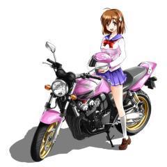 三毛猫ふぅ🐬のトーク