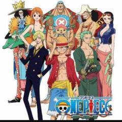 ワンピースなりきり 説明見てね❕