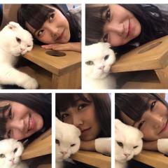 💕みるるんROOM💕