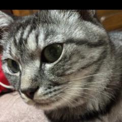 かずたん