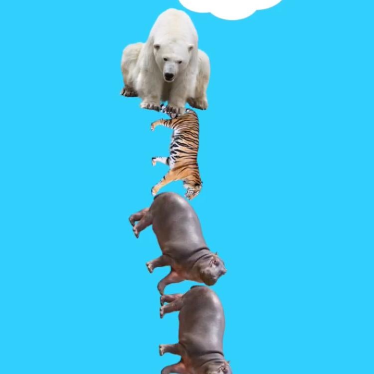 ー