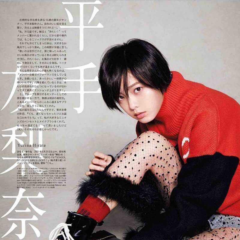 智帆