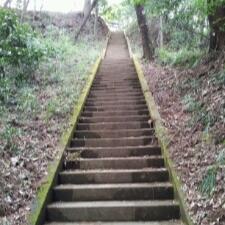 食べちゃだめだのトーク