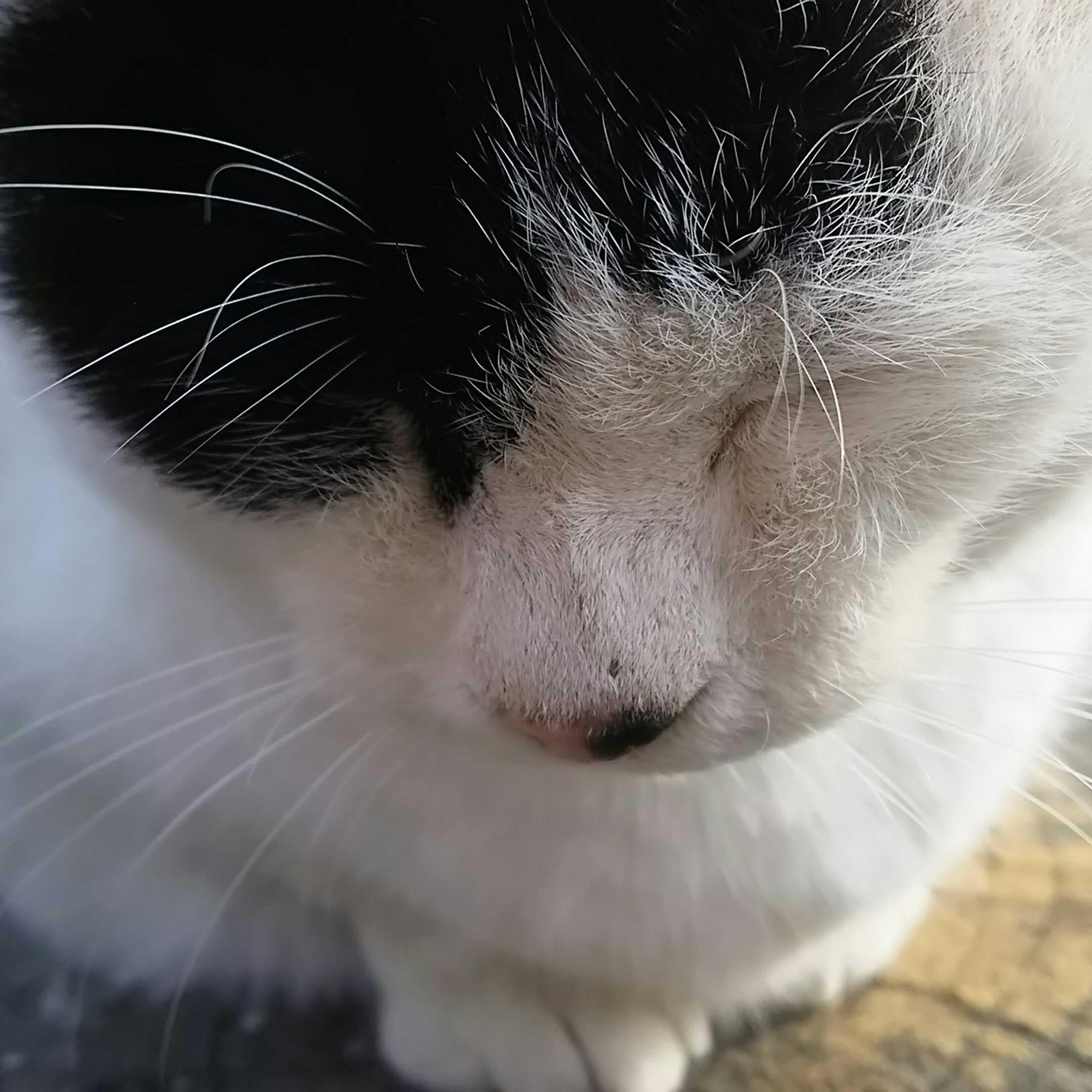 マジすか4は永久保存版