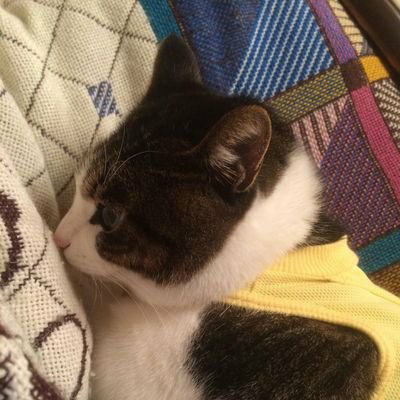 旅人(たびびと)のトーク