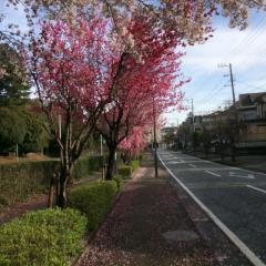 ちひろのトーク