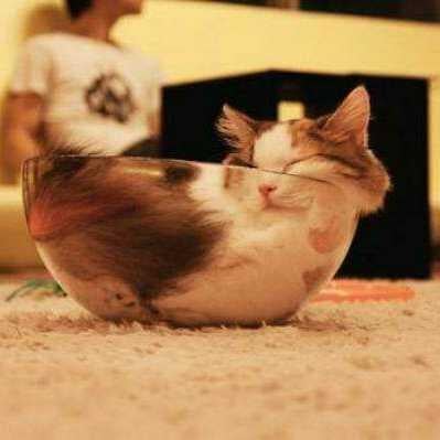 トークタイトル(不明)