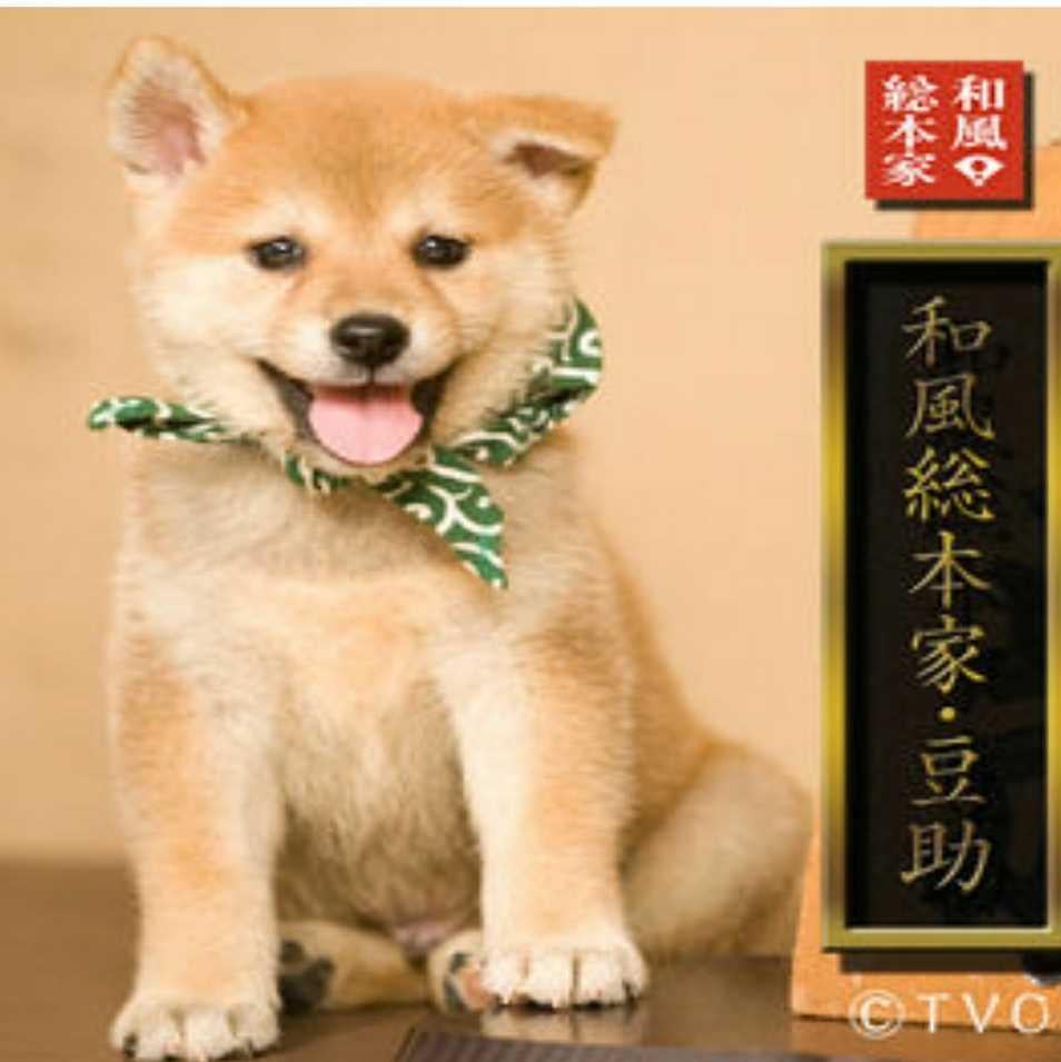 画像集めトーク