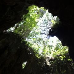 まこっちゃんのトーク