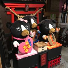 Nobuyuki Mutoのトーク