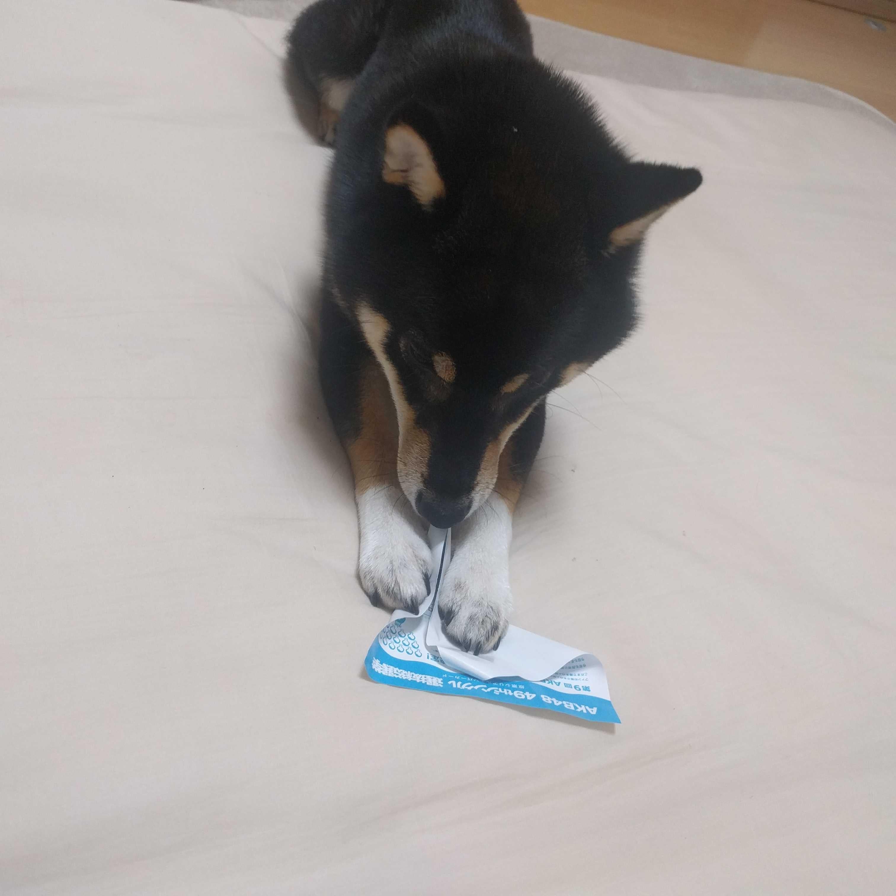さざえぼんのトーク
